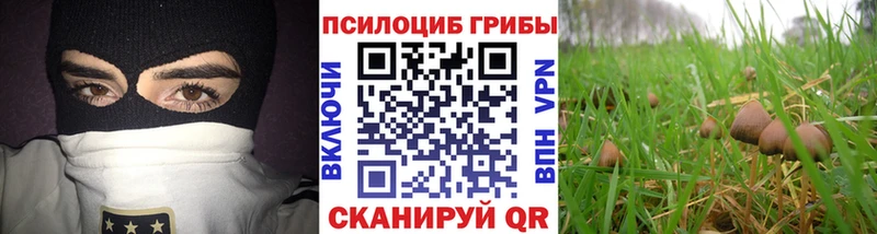 Псилоцибиновые грибы MAGIC MUSHROOMS купить закладку Нальчик