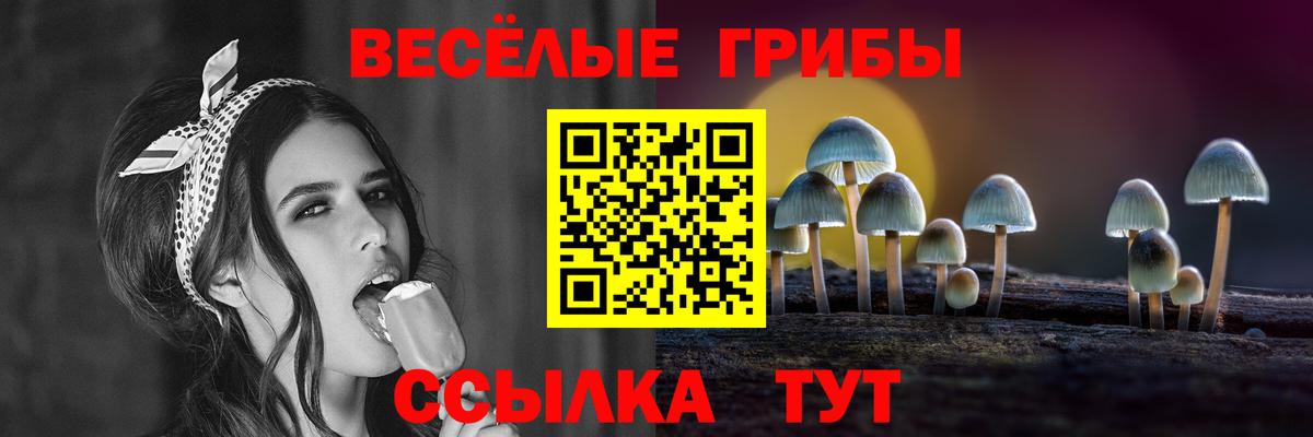 Галлюциногенные грибы мицелий  Вход с VPN  Нальчик 
