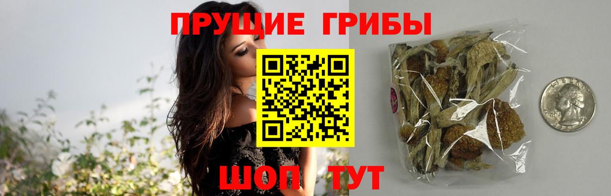 Псилоцибиновые грибы мицелий Нальчик